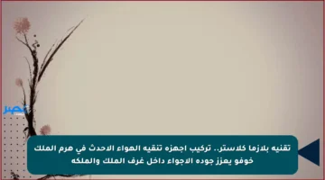 تقنية بلازما كلاستر.. تركيب أجهزة تنقية الهواء الأحدث في هرم الملك خوفو يعزز جودة الأجواء داخل غرف الملك والملكة